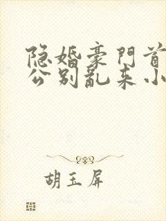 隐婚豪门首席老公别乱来小说