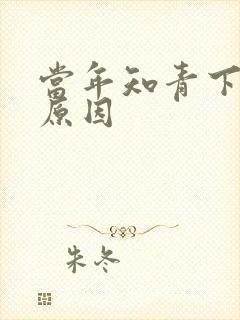 当年知青下乡的原因