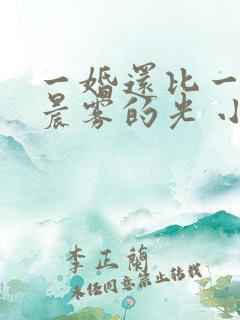 一婚还比一婚高晨雾的光 小说