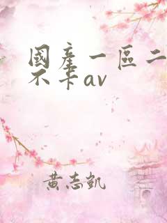 国产一区二区二不卡av