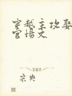 穿越主攻娶男妻官场文