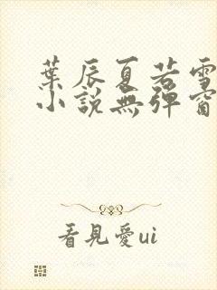 叶辰夏若雪孙怡小说无弹窗