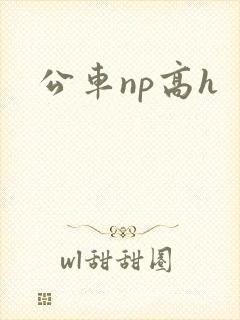 公车np高h