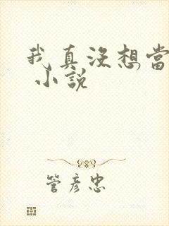 我真没想当皇上 小说