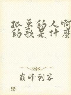 孤单的人啊孤单的歌是什么歌