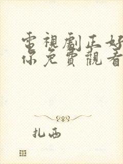 电视剧正好遇见你免费观看全集高清