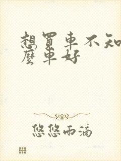 想买车不知道什么车好