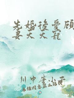 先婚后爱顾少娇妻天天宠