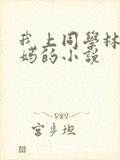 我上同学林虎妈妈的小说