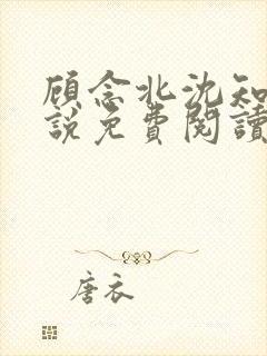 顾念北沈知宁小说免费阅读最新章节