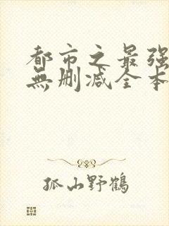 都市之最强狂兵无删减全本