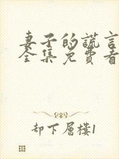 妻子的谎言短剧全集免费看