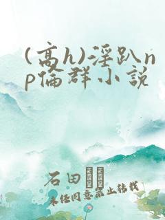 (高h)淫趴np伦群小说