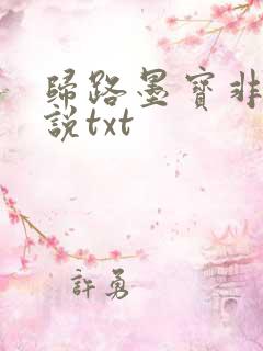 归路墨宝非宝小说txt