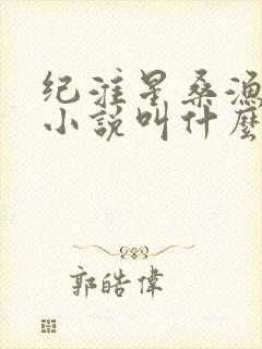 纪淮星桑渔原著小说叫什么