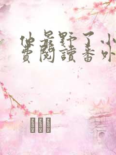 他最野了小说免费阅读番外篇