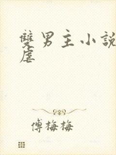 双男主小说快穿虐