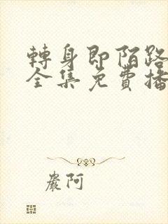 转身即陌路短剧全集免费播放下载