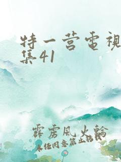 特一营电视剧全集41