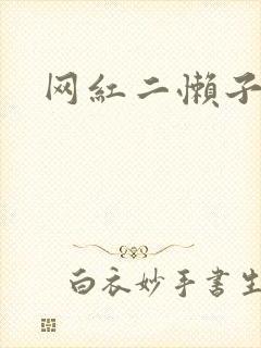 网红二懒子车祸