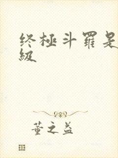 终极斗罗是多少级