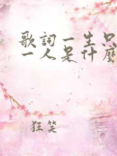 歌词一生只够爱一人是什么歌