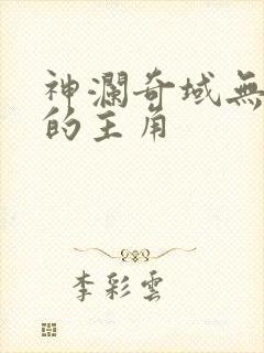 神澜奇域无双珠的主角