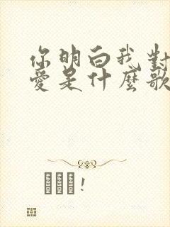 你明白我对你的爱是什么歌