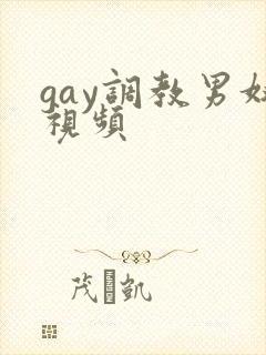 gay调教男奴视频