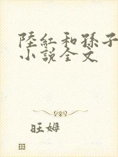 陆红和孙子肖文小说全文