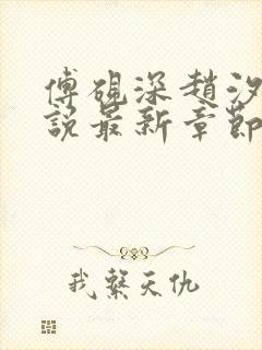 傅砚深赵汐颜小说最新章节更新情况