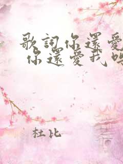 歌词你还爱我吗 你还爱我吗是什么歌