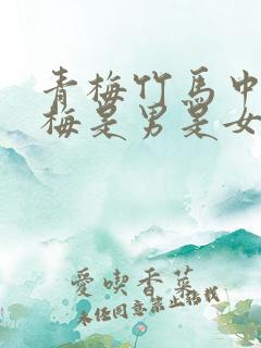 青梅竹马中的青梅是男是女