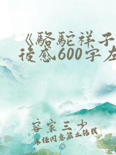 《骆驼祥子》读后感600字左右