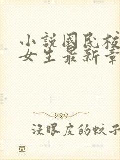 小说国民校草是女生最新章节