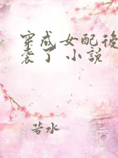 穿成女配后我逆袭了 小说