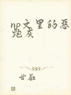 np文里的恶毒炮灰