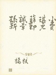 孙诚薛琪小说最新章节免费阅读