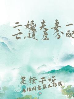 二婚夫妻一方死亡,遗产分配