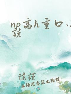 np高h重口小说