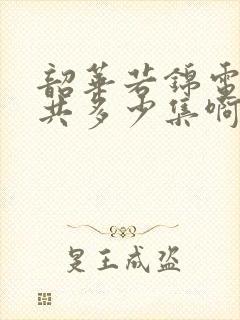 韶华若锦电视剧共多少集啊