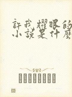 许我耀眼的原著小说是什么