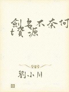 剑名不奈何txt资源