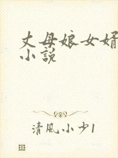 丈母娘女婿伦理小说