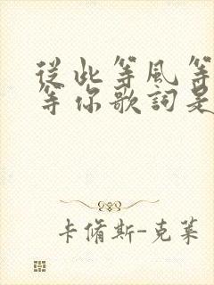 从此等风等雨不等你歌词是什么歌