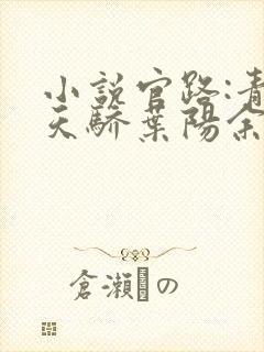 小说官路:青云天骄叶阳余秋水在线阅读