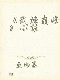 《武炼巅峰杨开》小说