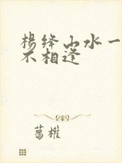 杨绛山水一程再不相逢