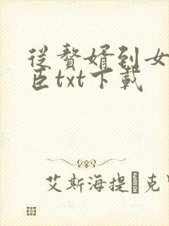 从赘婿到女帝宠臣txt下载