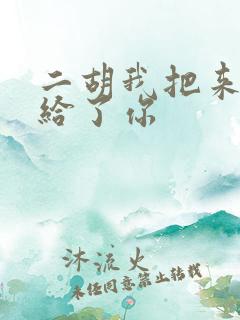 二胡我把来生许给了你